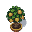 Small Lemon Tree