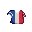 France Football Shirt