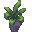 Small Dark Potted Plant