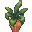 Small Yellow Potted Plant