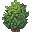 Simple Bush, color 2