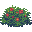 Imposing Bush, Flowering
