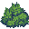 Lumpy Bush