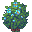 Simple Bush, Flowering