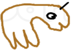 Bob