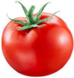Tomato