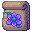 Astra Flower Seeds