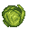 Cababbage