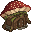 Longshroom House