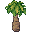 Palm Tree