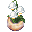 Foggy Lily of the Valley