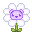 Blooming Gummy White