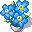 Blue Yellow Forget Me Nots