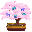 Butterfly Sakura Bonsai 