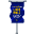 Liga Vale