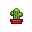 little cactus