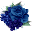 Lovely Blue Flowers 1