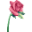 Lovely Flowers Pink 2