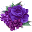Lovely Purple Flowers 1