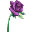 Lovely Purple Flowers 2