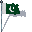 Pakistan Flag