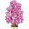 Puppies Tree Pinky