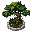 PXL Tree 07