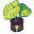 Snake plant
