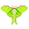 The Pixel butterfly